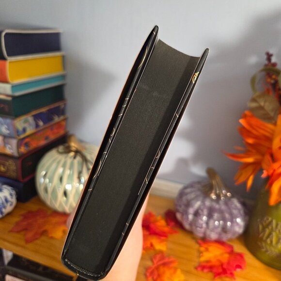 Fallen City by Adrienne Young Fairyloot November 2025 Fated to Fall - Picture 10 of 10